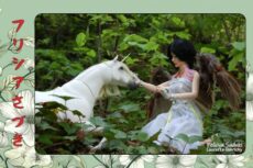 Carte Felicya "Licorne" 10*15cm