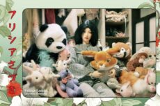 Carte Felicya "Peluches" 10*15cm