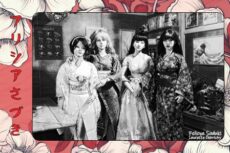 Carte Felicya "And Co." 10*15cm