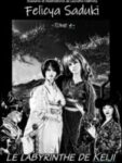 Tome 4 "Le labyrinthe de Keiji"